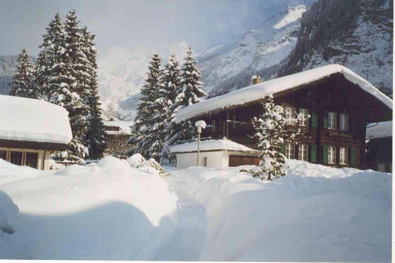 Familienferien Im Chalet Baergli Kandersteg Exterior foto